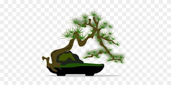 Bonsai Clip Art Flora Nature Plant Tree Bo - Clip Art