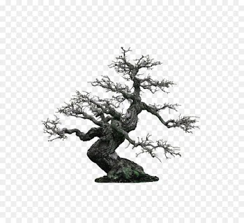 Bonsai Display resolution 1080p Wallpaper - Light green minimalist tree decoration pattern 