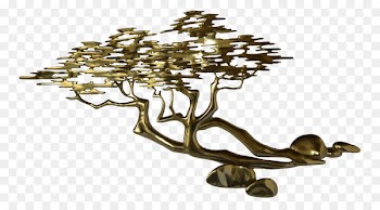 Bonsai, Miniature Bonsai, Branch, Tree PNG