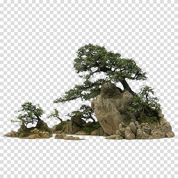 Bonsai 庭石 Rock Stone, rock transparent background PNG clipart