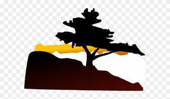 Bonsai Tree Clip Art