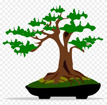 Bonsai Tree Clipart - Bonsai Tree Clip Art