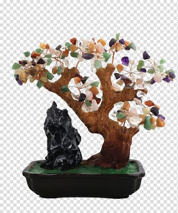 Bonsai Tree Material, Color emerald fortune tree bonsai transparent background PNG clipart