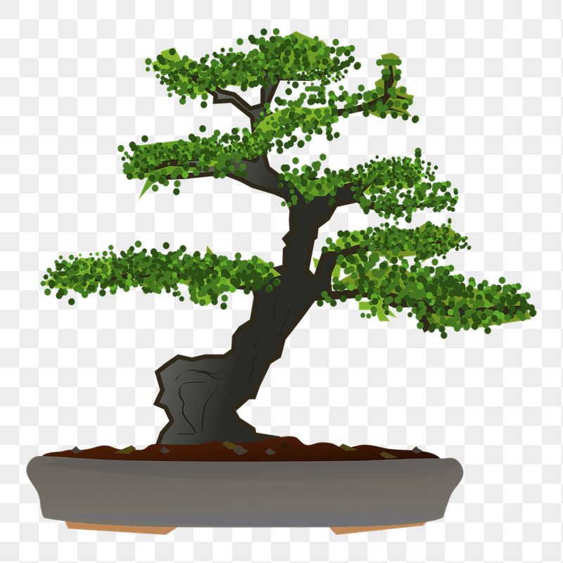 Bonsai tree png sticker, botanical | Free PNG - rawpixel