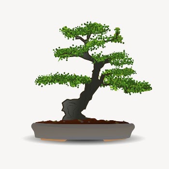 Bonsai tree sticker, botanical illustration | Free PSD - rawpixel