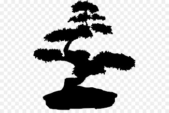 Bonsai Tree Wall decal - tree 