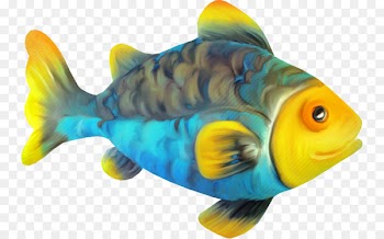 Bony fishes Goldfish Clip art Image - fish 