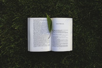 Book: chapter six