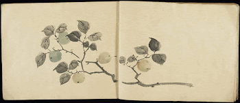 book consisting of 10 drawings | Free Photo - rawpixel