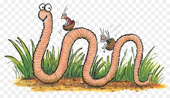 Book, Craftsactivities, Insect, Ringedworm, Organism PNG