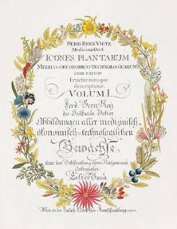Book frontispiece (1800) vintage prints | Free Photo - rawpixel