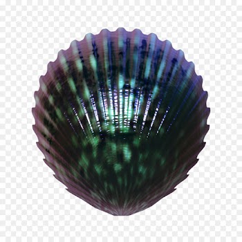Book, Reading, Library, Purple, Baking Cup PNG