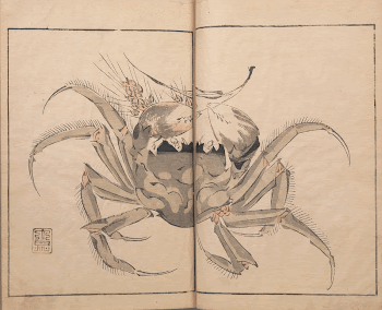 book with woodblock printed images | Free Photo - rawpixel