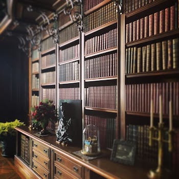 books in brown bookshelf