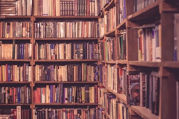 Books in Shelves in Library