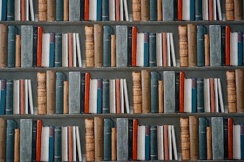 Books on Bookshelves