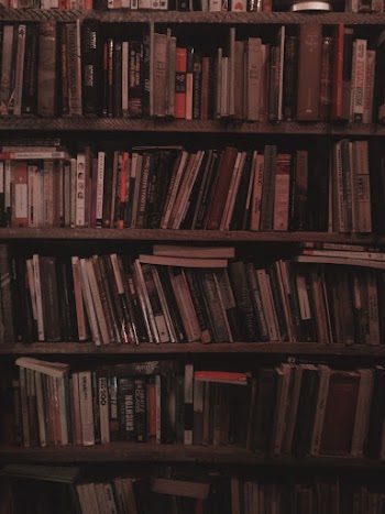 Books On Shelves