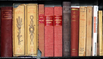 booksCN_0253.jpg