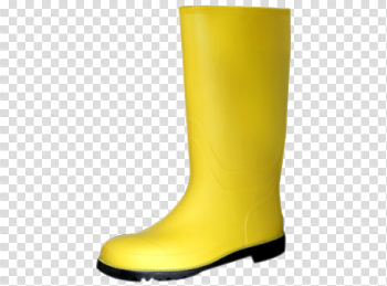 Boot Picture