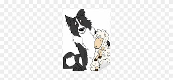 Border Collie And Sheep Are Friends Vector Illustration - Border Collie