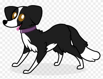 Border Collie For Tesseradical17 By P B Jay - Mlp Border Collie