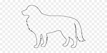 Border Collie Outline High Quality - Black Outline Of A Border Collie