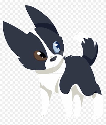 Border Collie Puppy Drawing Download - Cute Border Collie Art