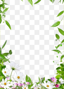 Border Design PNG Images | Vector and PSD Files | Free Download on ...