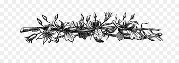 Border Flowers Black and white Clip art - flower 