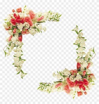 Border Flowers Floral Design - Floral Border Design