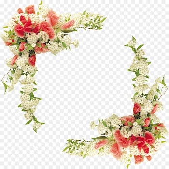 Border Flowers Floral design - Floral border design vector 