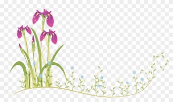 Border Flowers Moth Orchids - Flower Frame