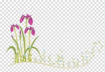 Border Flowers Moth orchids, Purple butterfly flower transparent background PNG clipart