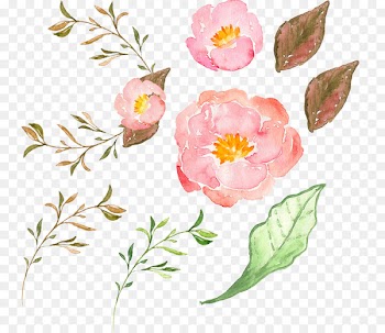 Border Flowers Peony - Pink peony flower 