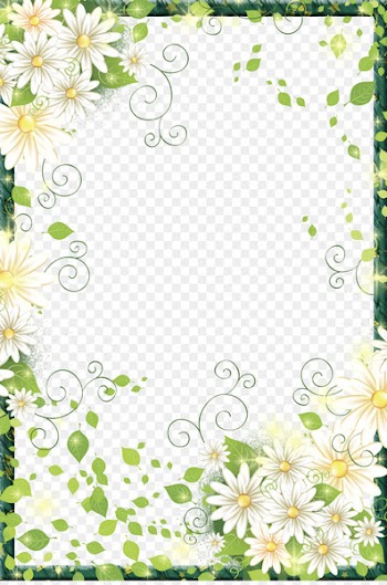 Border Flowers Picture frame Digital photo frame - Beautiful Flowers Border Frame 