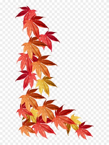 Border Of Autumn Leaves - Autumn Leaves Border Png