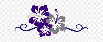 Border Png - Clip Art Hawaiian Flower