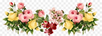 Borders And Frames, Flower, Desktop Wallpaper, Flowering Plant PNG