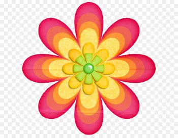 Borders And Frames, Flower, Floral Design, Petal PNG