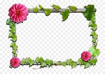 Borders and Frames Flower Floral design Picture Frames Clip art - quadro border 