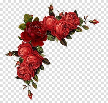 Borders and Frames Flower Red Garden roses , flower transparent background PNG clipart