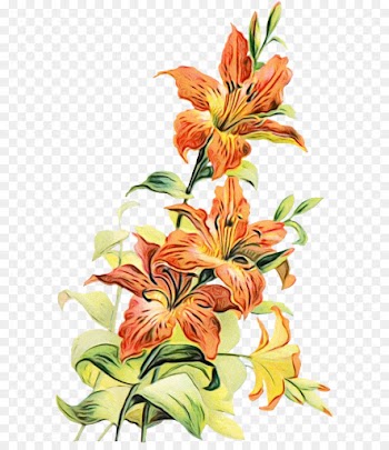 Borders And Frames, Flower, Tiger Lily, Flowering Plant PNG
