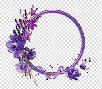 Borders and Frames Frames Flower Rose Graphic Frames, Ramadan filter transparent background PNG clipart