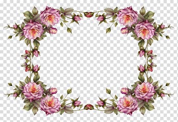 Borders and Frames Frames Flower , watercolor flower border transparent background PNG clipart