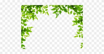 Borders And Frames Leaf Green Clip Art Green Leaves - Leaf Borders And Frames