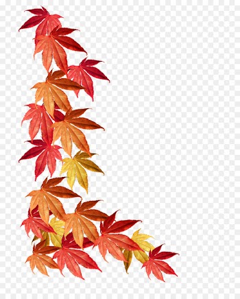 Borders and Frames Maple leaf Autumn leaf color - autumn leaves 