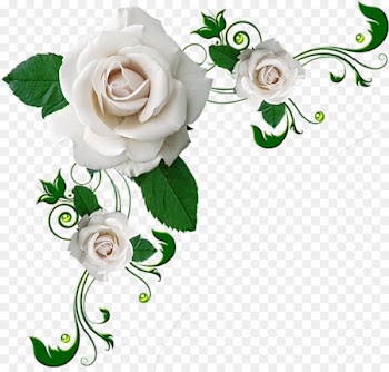 Borders and Frames Picture Frames Clip art Still Life: Pink Roses - rose 