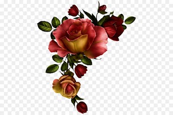 Borders and Frames Rose Flower Clip art Floral design - rose 