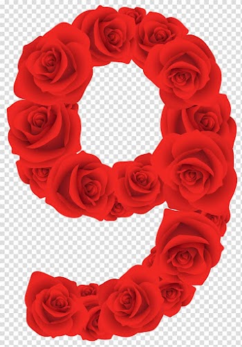 Borders and Frames Rose Number , Decorative Number transparent background PNG clipart