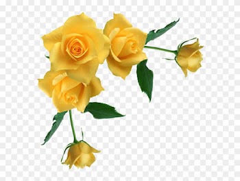 Borders And Frames Rose Yellow Clip Art - Borders And Frames Rose Yellow Clip Art